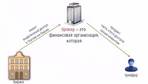 Функции и обязанности брокера в процессе торгов на бирже