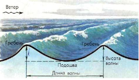 Функции компонента, отвечающего за движение воды