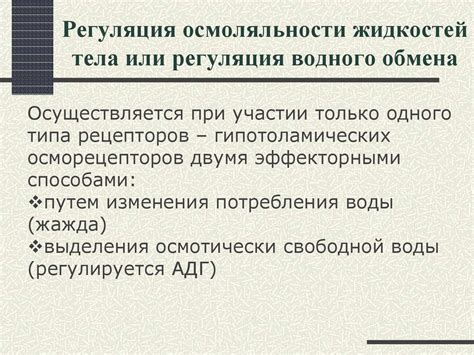 Функции латеральных камер: контроль циркуляции и регуляция обмена жидкостей