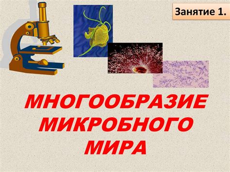 Функция жгутиков: секрет микробного мира