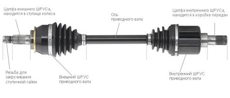 Функция шрусов на автомобиле