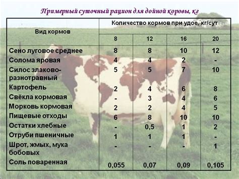 Характеристики дойных коров и их значение для процесса дойки