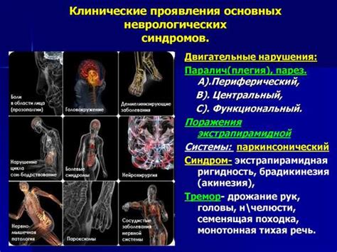 Характерные признаки разных видов вирусных инфекций