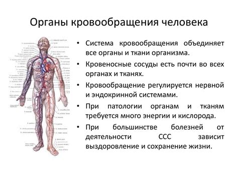 Характерные признаки точечных кровоизлияний