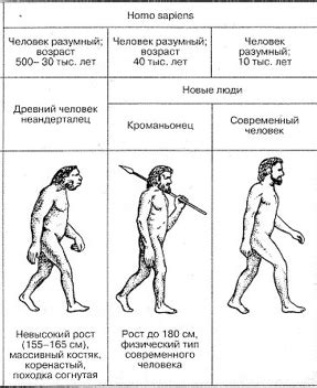 Химическое происхождение и особенности