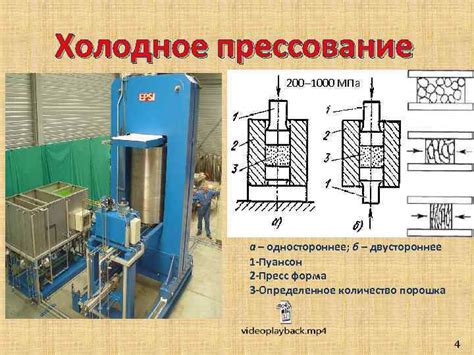 Холодное прессование: эффективный метод извлечения липидов из семенистых продуктов