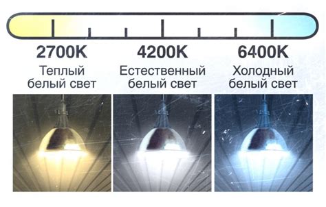 Холодный свет: особенности и области применения