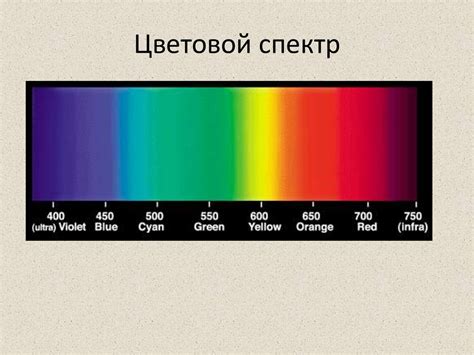 Цветовой спектр чернокорня