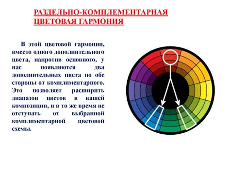 Цветовые гармонии: настройте цвет лосин под ваш стиль