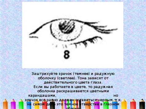 Цветокоррекция: влияние на радужную оболочку и зрачок