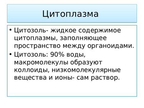 Цитоплазма: жидкое окружение, где происходят химические реакции