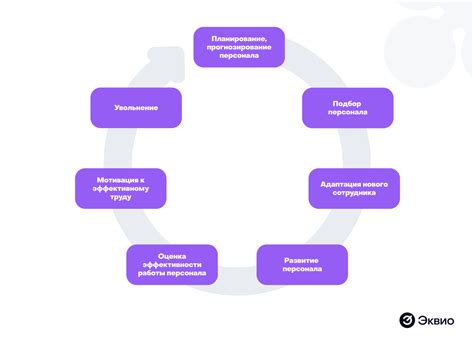 Что включает в себя учебная программа для специалистов по собаководству