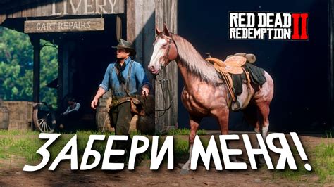 Что делать, если багает спавн черной коней в Red Dead Redemption 2?