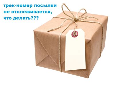 Что делать, если трек-номер не показывает точное местонахождение отправления?