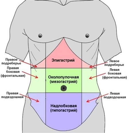 Что означает боль в нижней области живота?