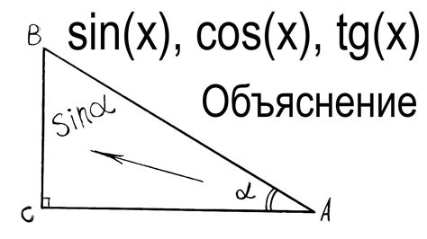 Что такое синус и косинус и каковы их характеристики?