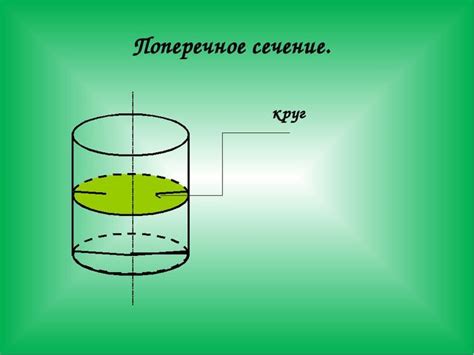 Что такое форма поперечного сечения тела и методы ее измерения