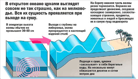 Что такое цунами и как оно формируется?