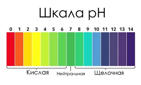 Что такое pH-уровень и как его измерить