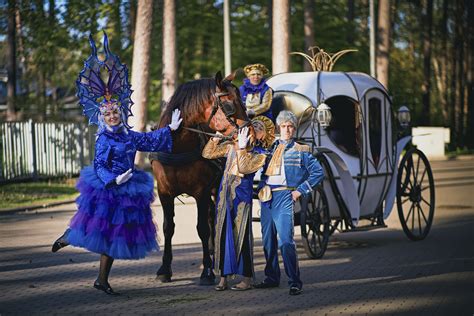 Шоу-программы и выступления артистов