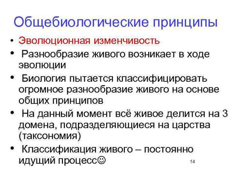 Эволюционная биология: фундаментальные принципы в науке о живом мире