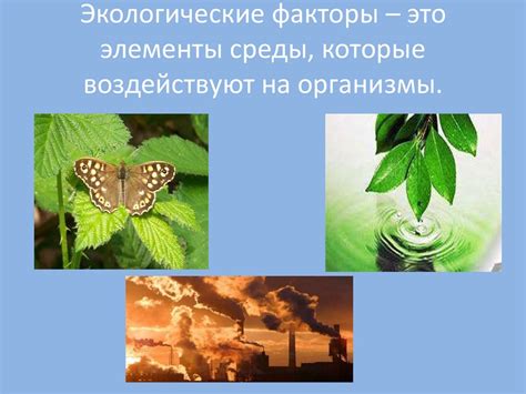 Экологическая взаимосвязь: как одни организмы воздействуют на другие