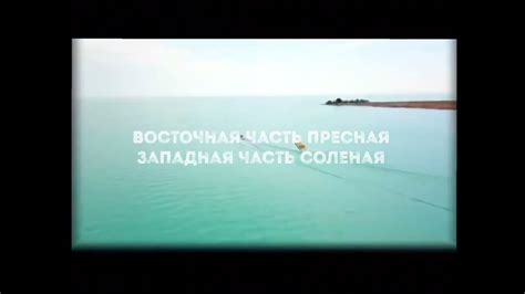 Экологические особенности и биоразнообразие природной среды Балхашского озера