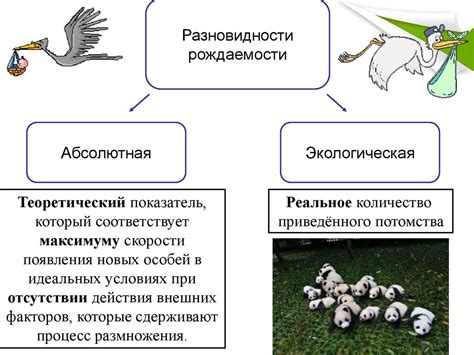 Экологические факторы, влияющие на процесс роста рядовок грибов