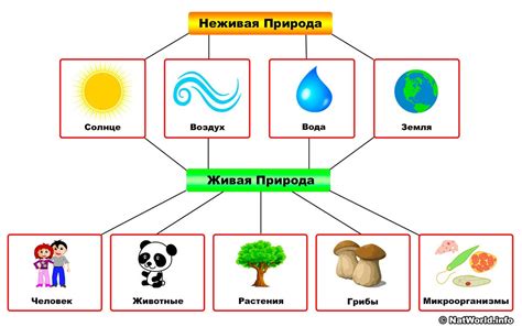 Элементы природы в обновленных модных коллекциях: дивный абраз с вкраплениями флоры, фауны и геологических формаций