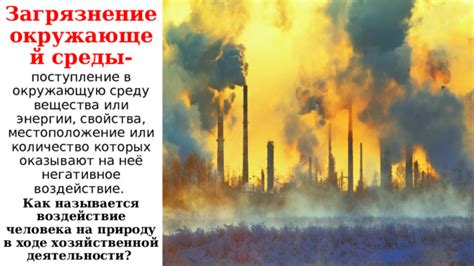 Эпигенетика: как воздействие окружающей среды определяет наследуемые черты