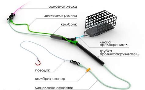 Эффективнейшие стратегии для выявления пригодных точек для фидерной рыбалки целевой Рр4 карпа