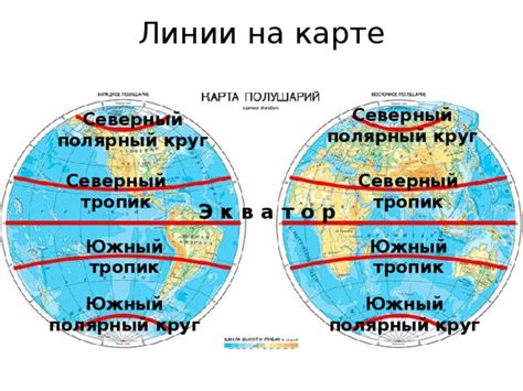 Южный тропик: уникальные черты климата и флоры в данном регионе