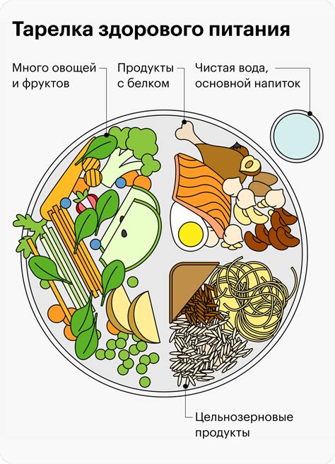 Яичные продукты: важный источник необходимых питательных веществ