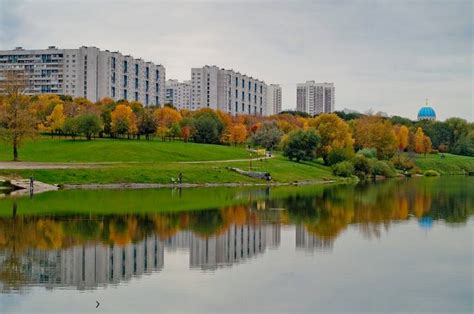  Борисовские пруды: идеальное место для поиска вкусных грибов 