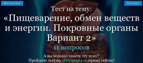  Влияние дрожжей пива на пищеварение и обмен веществ у людей с сахарным диабетом 