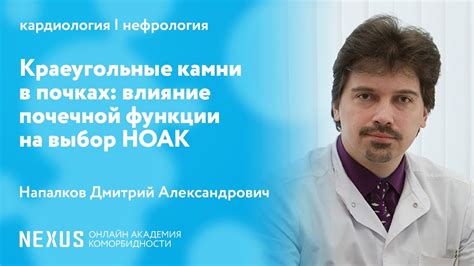  Влияние пряников на состояние почечной системы: мнение экспертов