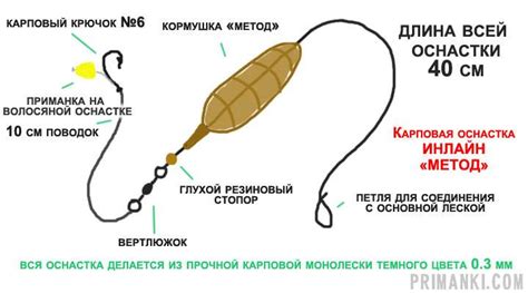  Выбор снастей для успешной рыбалки на сазана 