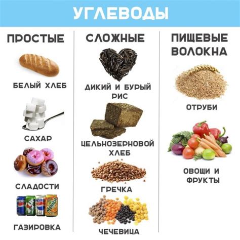  Где находятся углеводы в организме: содержание в различных тканях и органах 