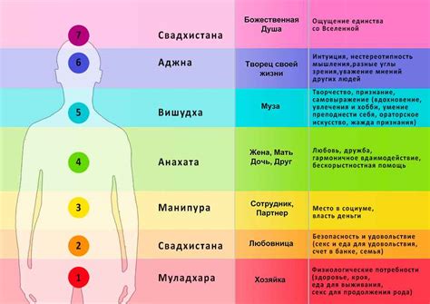  Главное о местоположении второй чакры у женщины: ключевые аспекты 