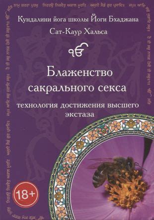  Женское простатообразное устройство: области экстаза и пути их достижения 