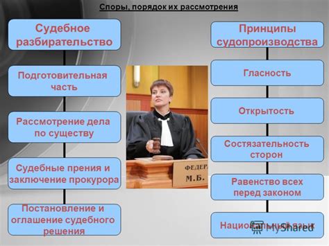  Законодательные принципы поиска судебного решения 