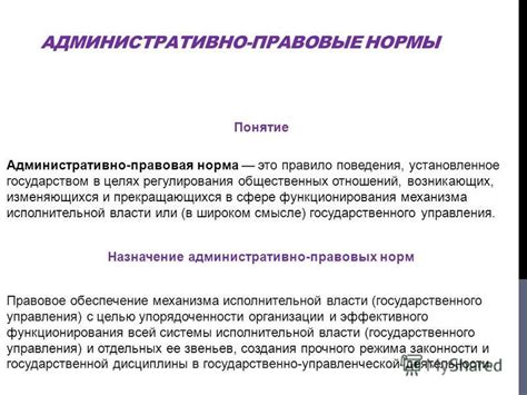  Законодательство о разрешении ношения клинка в общественных локациях: правовые нормы и ограничения 