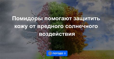  Защита от вредного воздействия солнечного излучения 