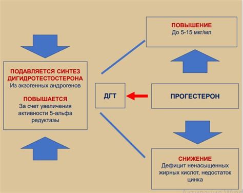  Здоровье молочных желез и влияние прогестерона 