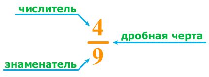  Знаменатель в дроби: его положение и значимость 