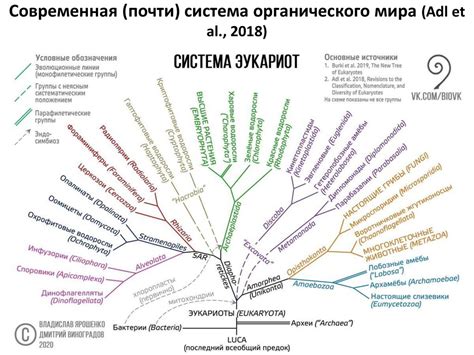  Значение Чусовой для разнообразия живого мира
