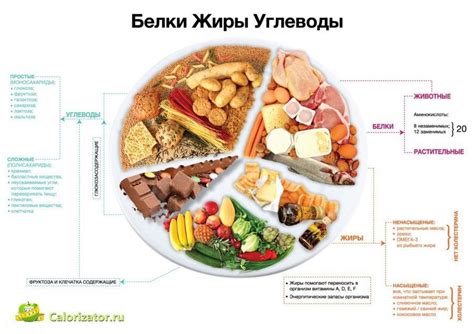  Лучшее питание для похудения: белки или углеводы?