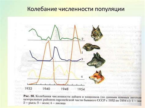  Масштабы уничтожения популяции ухастой птицы и ее статус в специальном реестре 