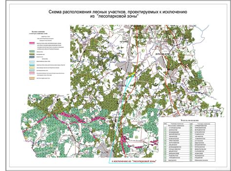  Методы выявления присутствия ласки в лесной местности 