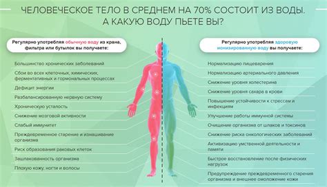  Механизм воздействия первого элемента спутника на организм: открытие новых путей защиты